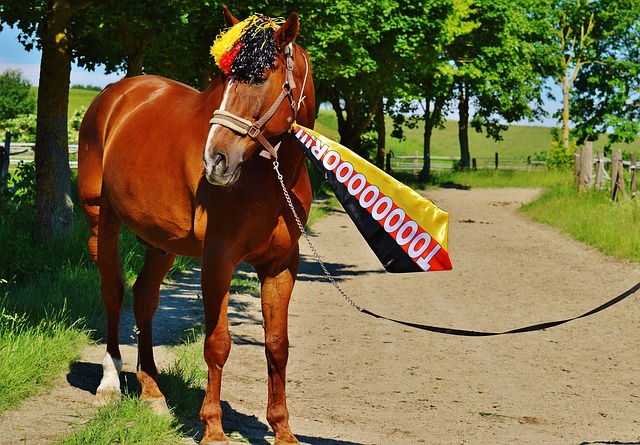 提升了球員 提升了球員