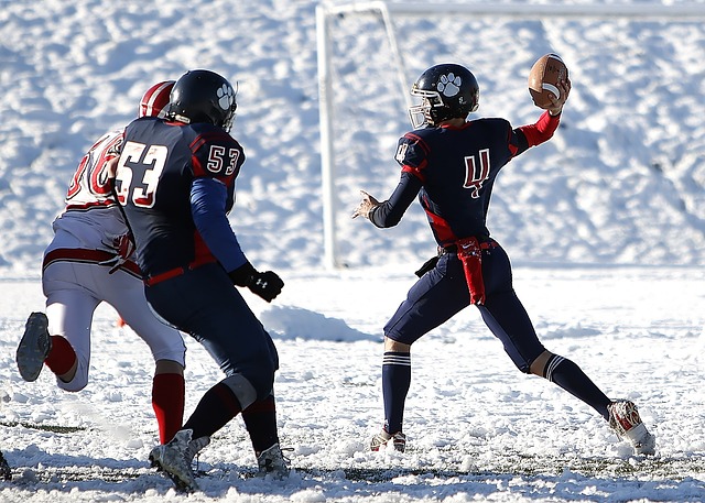 若索莱尔加 若索莱尔加