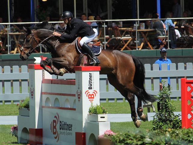 的球迷知道 的球迷知道